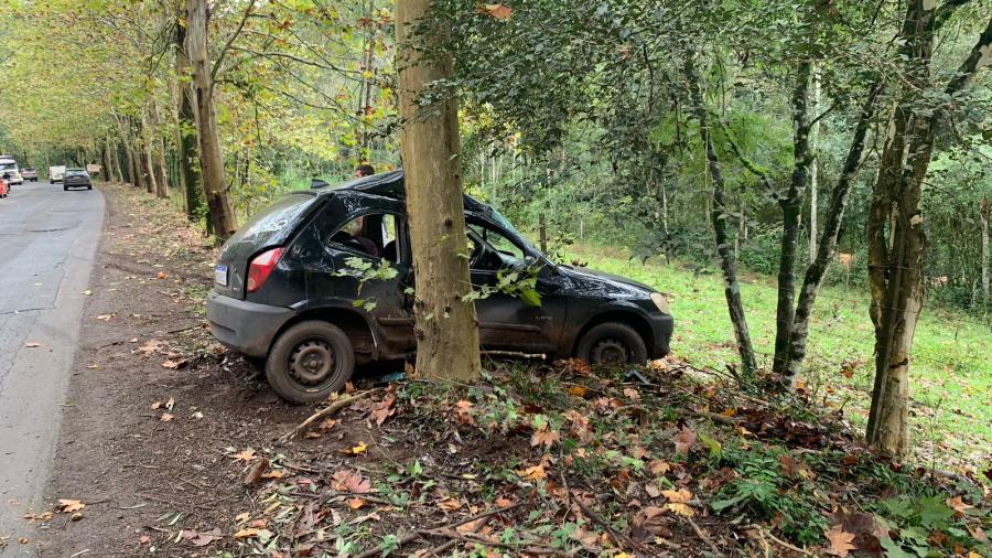 Carro sai da pista e choca em árvore na SC 160 em Modelo Alternativa