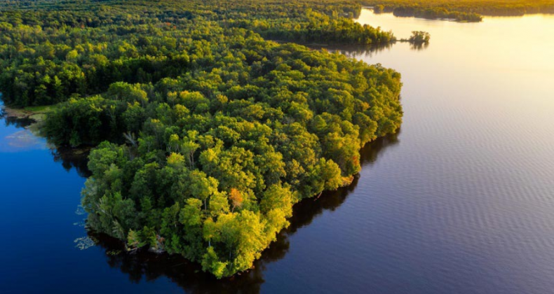 Alertas de desmatamento na Amazônia têm segundo pior novembro da série histórica.