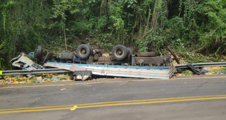 Caminhão carregado de chopp,capota e motorista é vítima fatal em Formosa do Sul.