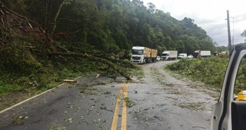 Temporal causa estragos em Santa Catarina.