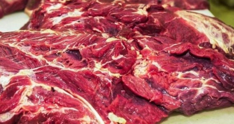 Países voltam a comprar carne bovina do Brasil.