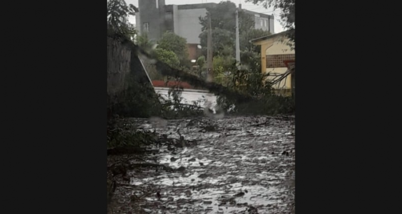 Vendaval causa estragos em municípios do Oeste.