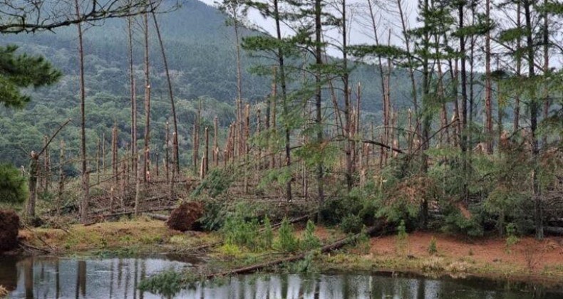 Defesa Civil confirma passagem de tornado em SC.