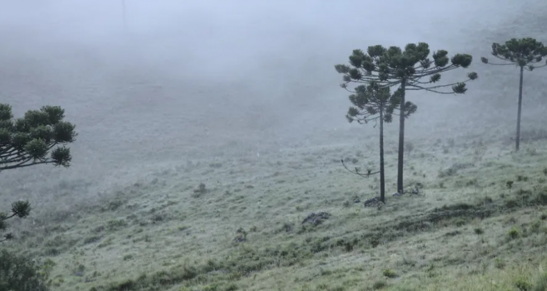 SC: Serra registra geada em pleno verão.