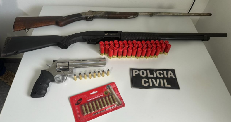 Polícia Civil apreende armas de fogo durante buscas.