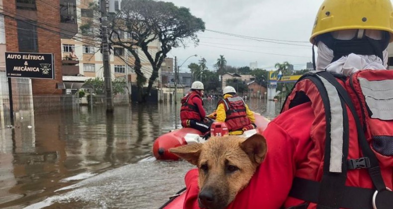 Bombeiros militares de SC já salvaram mais de 3,5 mil vidas no RS.