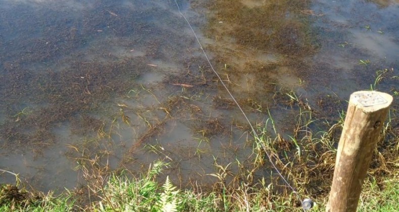 Homem sai para consertar cerca elétrica e é encontrado morto em açude.